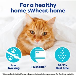 sWheat Scoop Original Natural Clumping Wheat Cat Litter, 28-lb bag