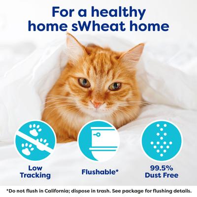 Show full view: sWheat Scoop Original Natural Clumping Wheat Cat Litter, 28-lb bag slide 7 of 11