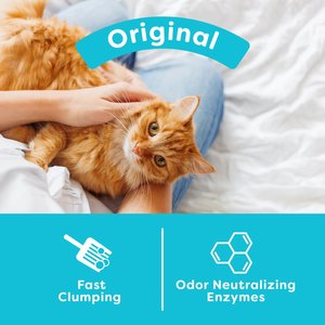 sWheat Scoop Original Natural Clumping Wheat Cat Litter, 28-lb bag