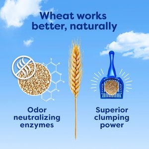 sWheat Scoop Original Natural Clumping Wheat Cat Litter, 28-lb bag