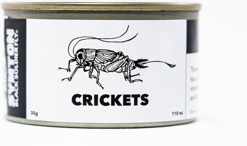Show full view: Symton Crickets Canned Reptile Food, 35-g, count of 3 slide 3 of 4