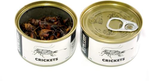 Show full view: Symton Crickets Canned Reptile Food, 35-g, count of 3 slide 4 of 4