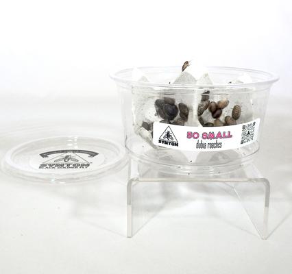 Show full view: Symton Dubia Roaches Reptile Food, 50 count, Small slide 5 of 6