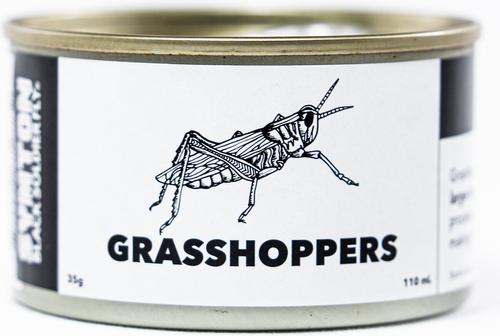 Show full view: Symton Grasshoppers Canned Reptile Treats, 35-g, count of 3 slide 3 of 4
