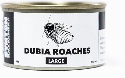 Show full view: Symton Large Dubia Roaches Canned Reptile Food, 35-g, count of 3 slide 3 of 7