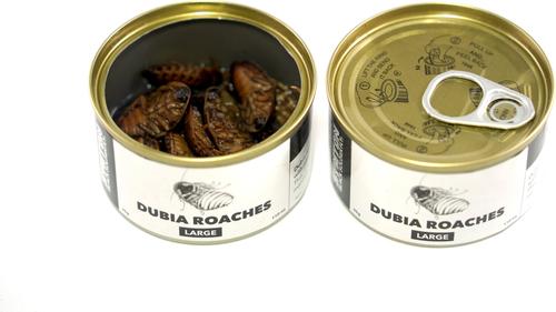 Show full view: Symton Large Dubia Roaches Canned Reptile Food, 35-g, count of 3 slide 4 of 7