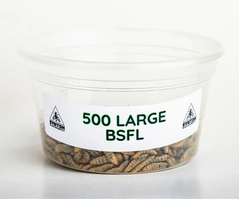 Show full view: Symton Large Live Black Soldier Fly Larvae Lizard Food, 500 count slide 6 of 8