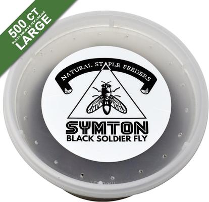 Show full view: Symton Large Live Black Soldier Fly Larvae Lizard Food, 500 count slide 5 of 8