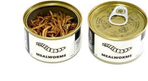 Show full view: Symton Mealworms Canned Reptile Treats, 35-g, count of 3 slide 4 of 5
