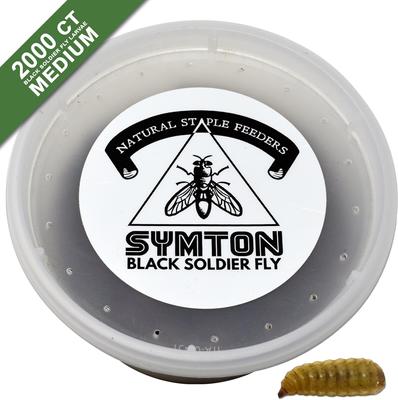 Show full view: Symton Medium Live Black Soldier Fly Larvae Lizard Food, 2,000 count slide 5 of 8