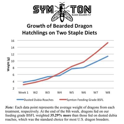 Show full view: Symton Medium Live Black Soldier Fly Larvae Lizard Food, 500 count slide 3 of 9