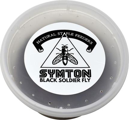 Show full view: Symton Medium Live Black Soldier Fly Larvae Lizard Food, 500 count slide 8 of 9