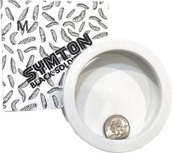 Symton No-Escape Ceramic Reptile Food Bowl, Medium