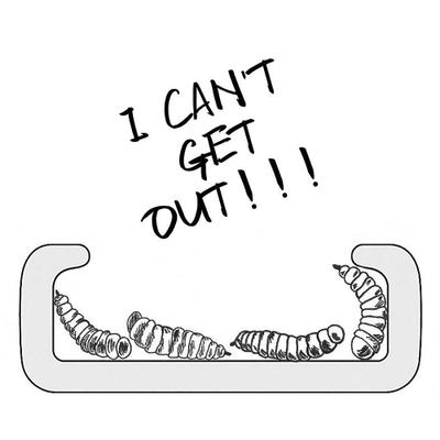 Show full view: Symton No-Escape Ceramic Reptile Food Bowl, Medium slide 3 of 4