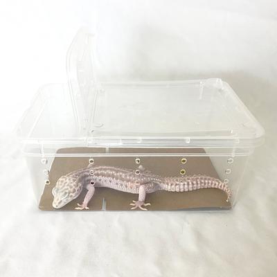 Show full view: Symton Reptihome & Reptile Bedding Kit, Small slide 3 of 3
