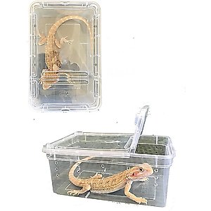 Symton Reptile Structure Reptihome Plastic Reptile Terrarium, Small