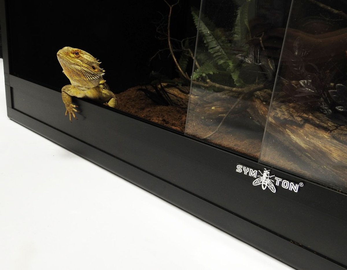 Symton Reptile Terrarium, 120-gal