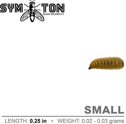 Show full view: Symton Small Live Black Soldier Fly Larvae Lizard Food, 1,000 count slide 4 of 9