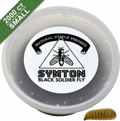 Show full view: Symton Small Live Black Soldier Fly Larvae Lizard Food, 2,000 count slide 6 of 9