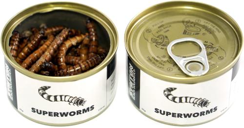 Show full view: Symton Superworms Canned Reptile Treats, 35-g, count of 3 slide 4 of 4