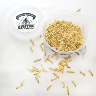 Show full view: Symton Waxworms Reptile Food, 50 count slide 3 of 5