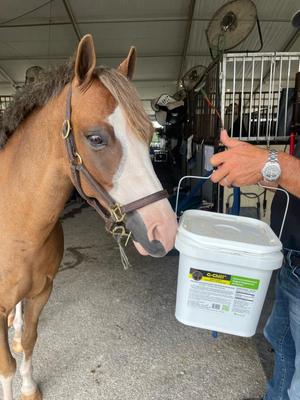 Show full view: SynNutra Equine GastroChill Horse Supplement, 30 Servings slide 3 of 6