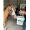 Show in main carousel: SynNutra Equine GastroChill Horse Supplement, 30 Servings slide 2 of 6