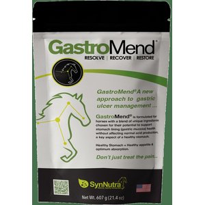 SynNutra Equine GastroMend Horse Supplement, 60 Servings