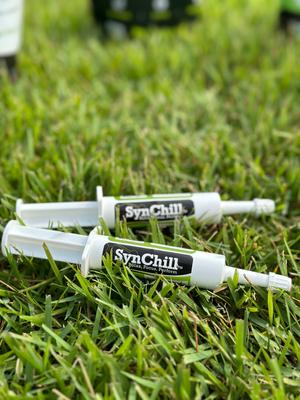 Show full view: SynNutra Equine SynChill Calming Horse Gel Show Pack, 12 count slide 2 of 6