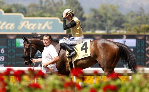 Show full view: SynNutra Equine SynOsteon Bone Health Horse Supplement, 30 Servings slide 4 of 4