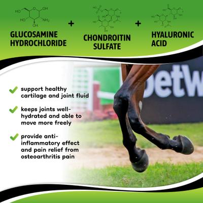 Show full view: SynNutra Equine SynoStride Joint & Hoof Supplement Horse Supplement, 30 Servings slide 5 of 8