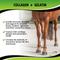 Show in main carousel: SynNutra Equine SynoStride Joint & Hoof Supplement Horse Supplement, 30 Servings slide 4 of 8