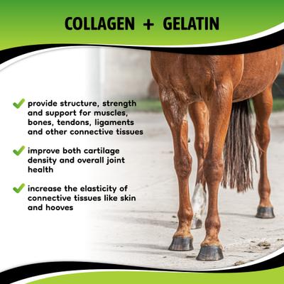 Show full view: SynNutra Equine SynoStride Joint & Hoof Supplement Horse Supplement, 30 Servings slide 4 of 8