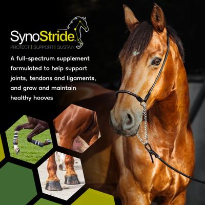 Show full view: SynNutra Equine SynoStride Joint & Hoof Supplement Horse Supplement, 30 Servings slide 3 of 8