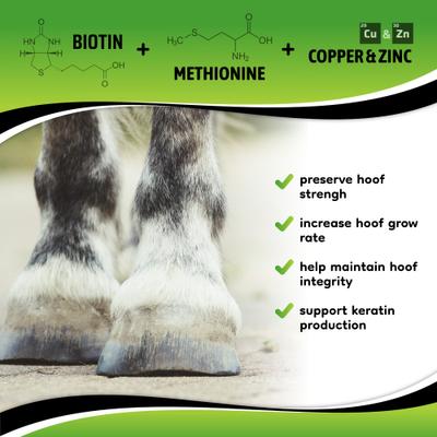 Show full view: SynNutra Equine SynoStride Joint & Hoof Supplement Horse Supplement, 30 Servings slide 6 of 8