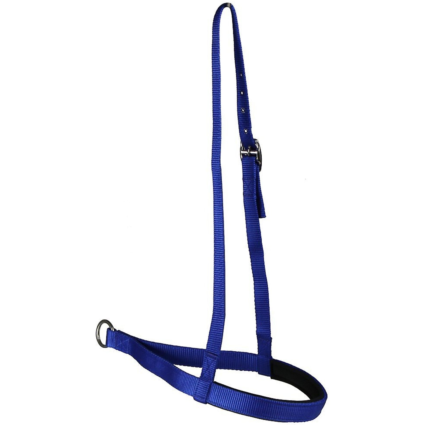 Tahoe Tack Lightweight Padded Nylon Horse Tie Down Noseband, Full, Royal Blue