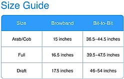 Tahoe Tack Plain Double Layer Nylon Horse Headstall & Reins, Black, Arab/Cob slide 2 of 4