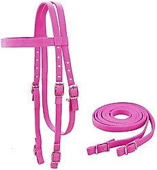 Tahoe Tack Plain Double Layer Nylon Horse Headstall & Reins, Pink, Full