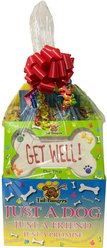 Tail Bangers 'Get Well' Gift Basket Variety Pack Crunchy Dog Treats