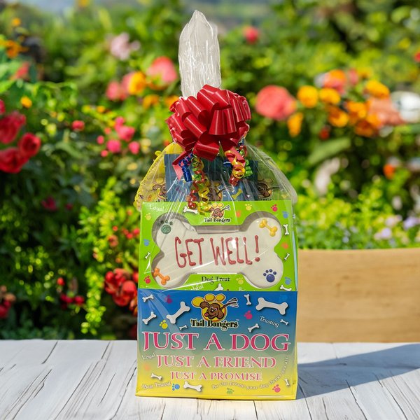 Tail Bangers 'Get Well' Gift Basket Variety Pack Crunchy Dog Treats