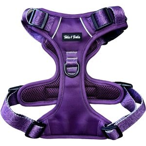 Tails & Trails Elderberry Adventure No-Pull Dog Harness, Purple, Small: 16 to 21-in chest