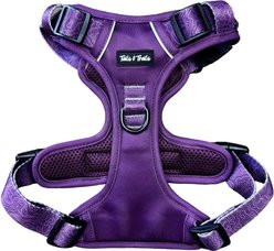 Tails & Trails Elderberry Adventure No-Pull Dog Harness, Purple, X-Small: 14 to 19-in chest