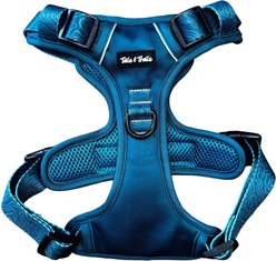 Tails & Trails Evergreen Adventure No-Pull Dog Harness, Teal, Large: 22 to 33-in chest slide 1 of 6