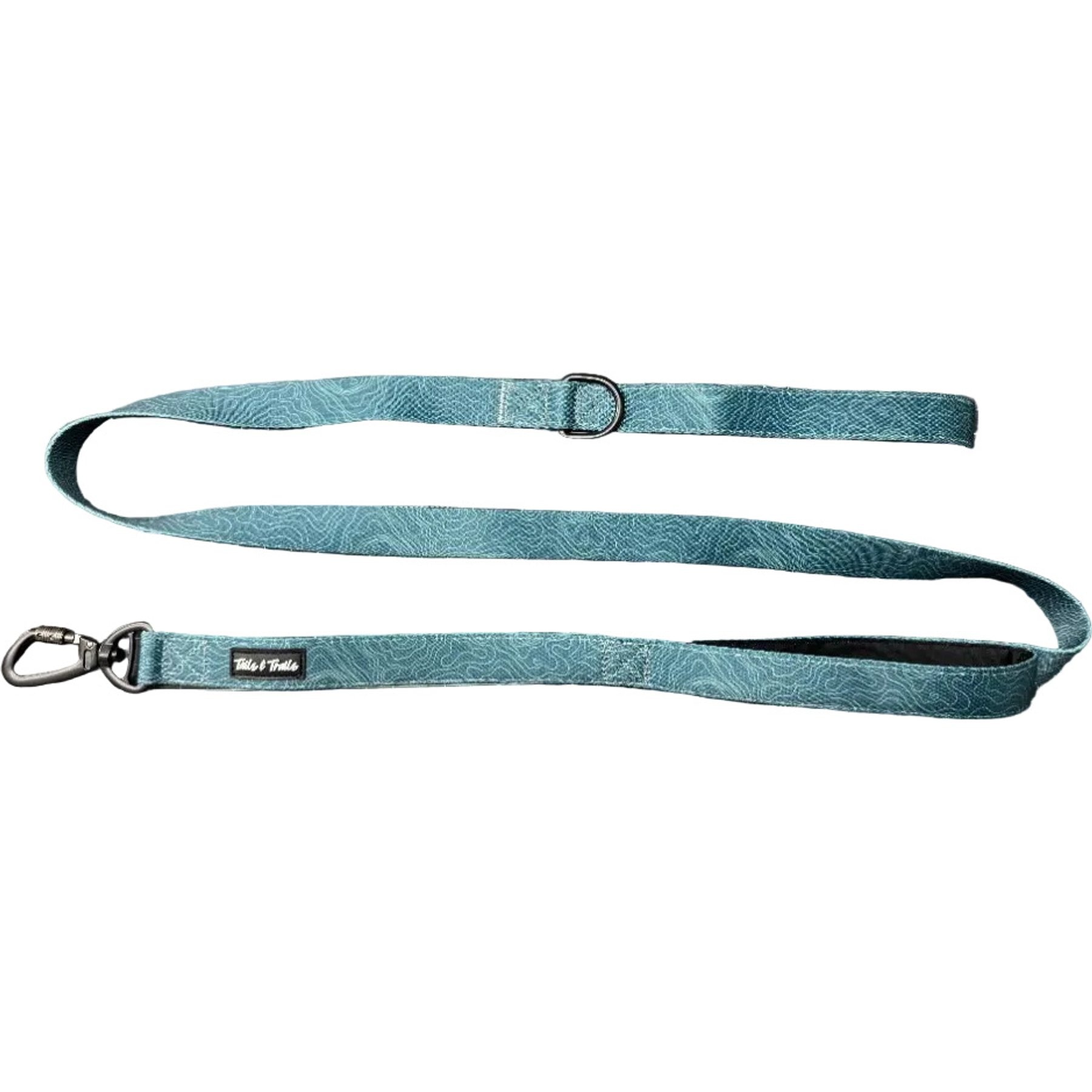 Tails & Trails Evergreen Trail Standard Dog Leash, Teal, 5-ft long, 1-in wide