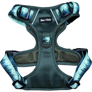 Tails & Trails Forrest Adventure No-Pull Dog Harness, Green, X-Small: 14 to 19-in chest