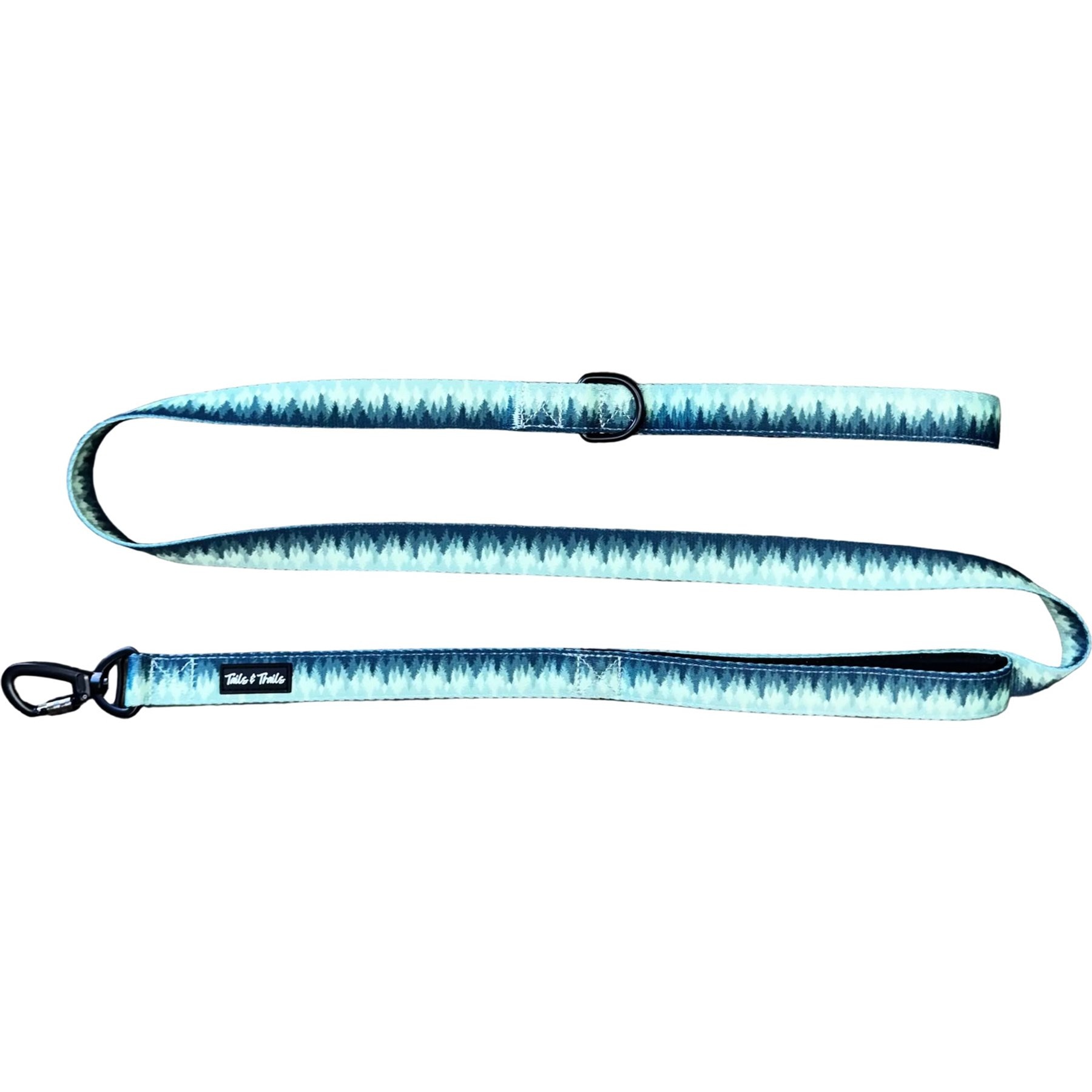 Tails & Trails Forrest Trail Standard Dog Leash, Green, 5-ft long, 1-in wide