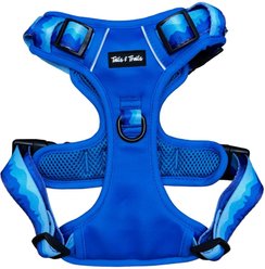 Tails & Trails Glacier Adventure No-Pull Dog Harness, Blue, X-Small: 14 to 19-in chest slide 1 of 4