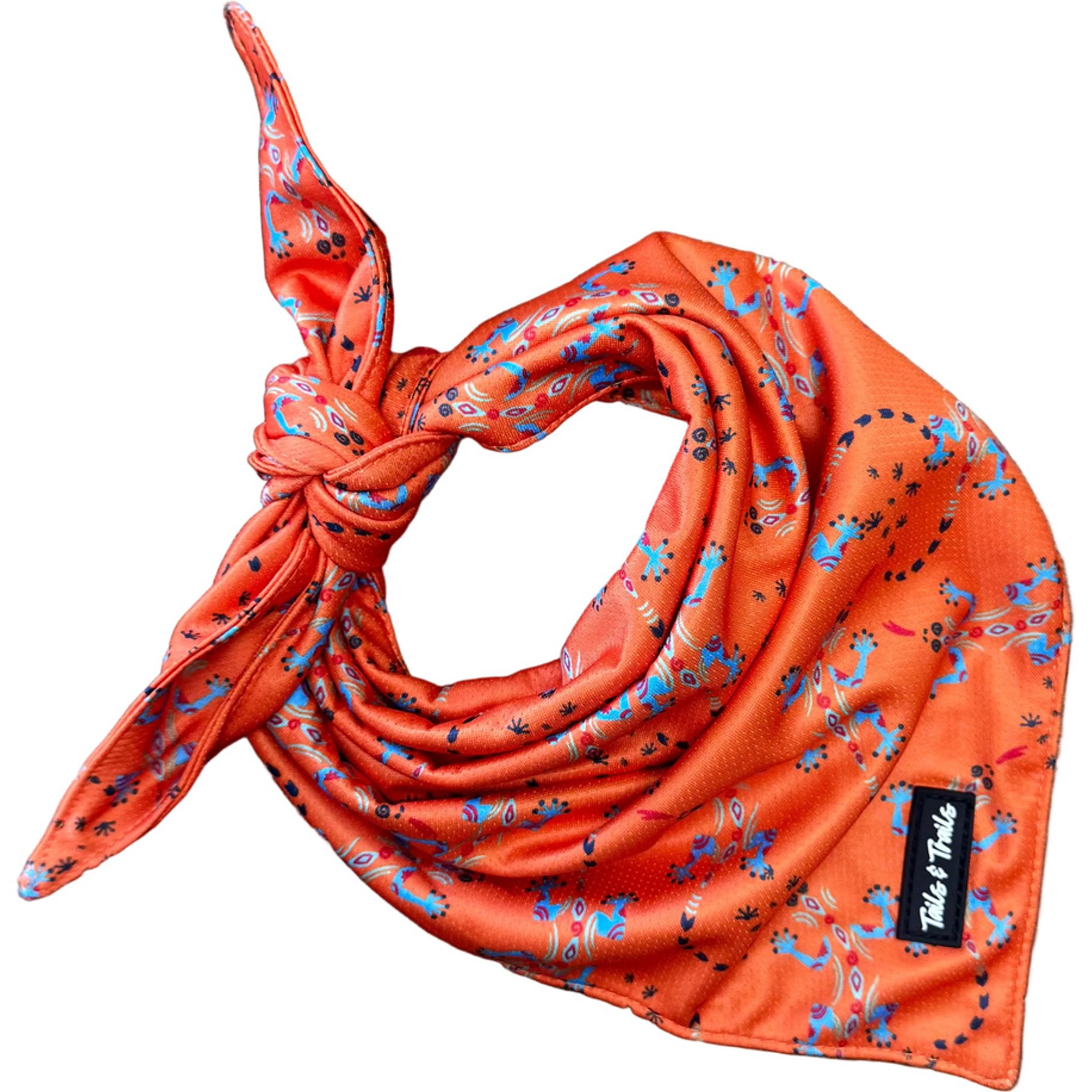 Tails & Trails Reptile Cooling Dog Bandana, Orange