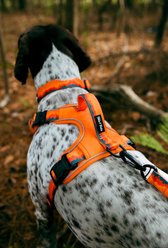Tails & Trails Saharah Adventure No-Pull Dog Harness, Orange, X-Small: 14 to 19-in chest slide 2 of 5