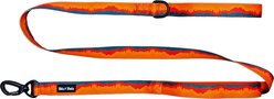 Tails & Trails Saharah Trail Standard Dog Leash, Orange, 5-ft long, 1-in wide
